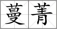 蔓菁