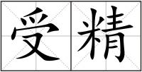 受精
