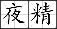夜精