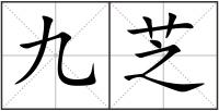 九芝