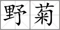 野菊