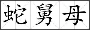 蛇舅母