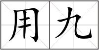 用九