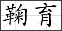 鞠育