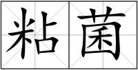 粘菌