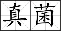 真菌