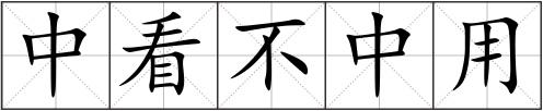 中看不中用
