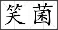 笑菌