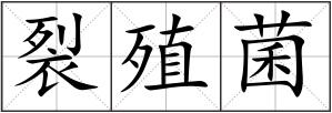 裂殖菌