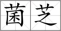 菌芝