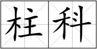 柱科