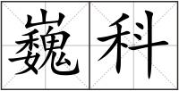 巍科