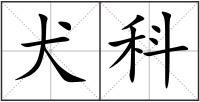 犬科