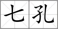 七孔