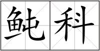 鲀科