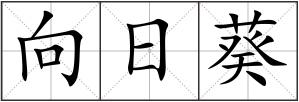 向日葵