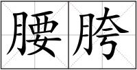 腰胯
