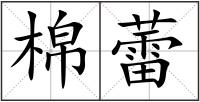 棉蕾