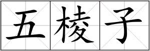 五棱子