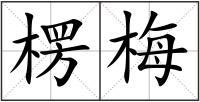 楞梅