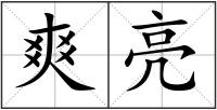 爽亮