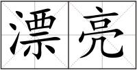 漂亮