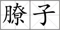 膫子