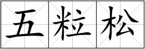 五粒松