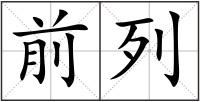 前列
