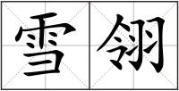 雪翎