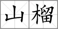 山榴