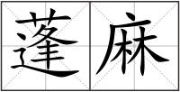 蓬麻