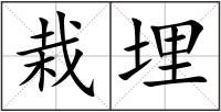栽埋