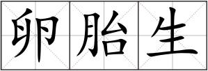 卵胎生