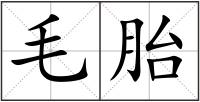毛胎
