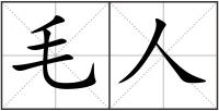 毛人