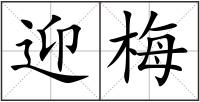 迎梅