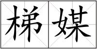 梯媒