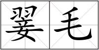 翣毛