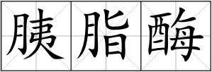 胰脂酶