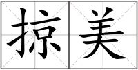 掠美