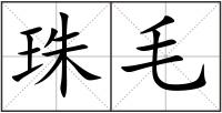 珠毛