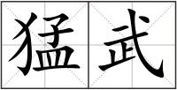猛武