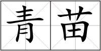 青苗