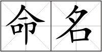 命名