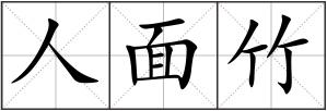 人面竹