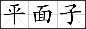 平面子