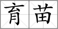 育苗