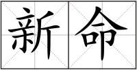 新命