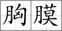 胸膜